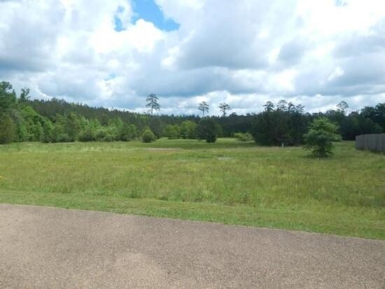 Fox Run Rd, Mccomb, MS for sale Primary Photo- Image 1 of 1