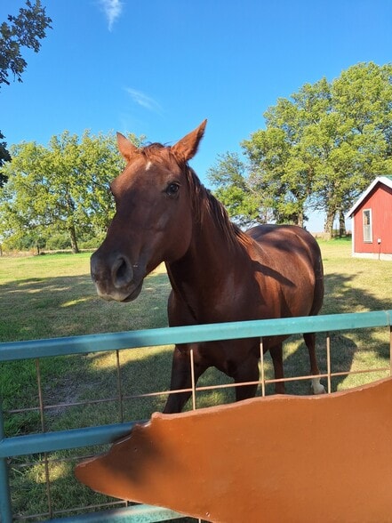 505 Meridian Rd, Miltonvale, KS for sale - Building Photo - Image 3 of 42