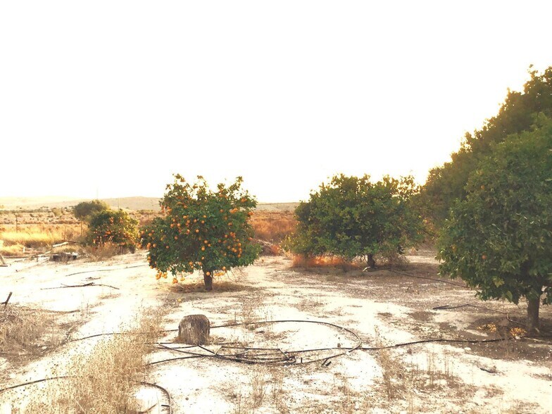 Land in Molina de Segura, Murcia for sale - Building Photo - Image 3 of 5