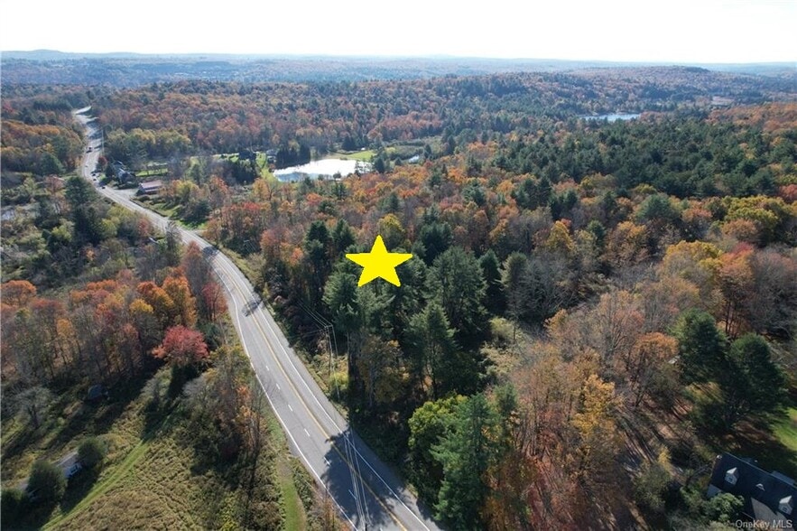 1195 State Route 17B, Bethel, NY for sale - Aerial - Image 1 of 38