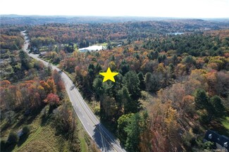 More details for 1195 State Route 17B, Bethel, NY - Land for Sale