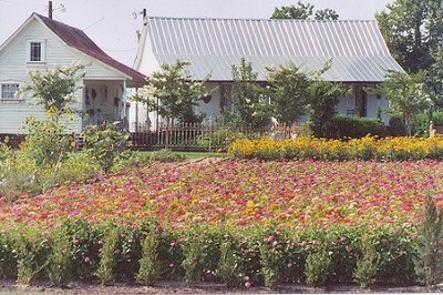 680 ACR 446, Palestine, TX for sale - Primary Photo - Image 1 of 1