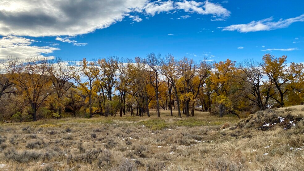 Ash Creek, Ranchester, WY 82839 South Ash Creek Road Land