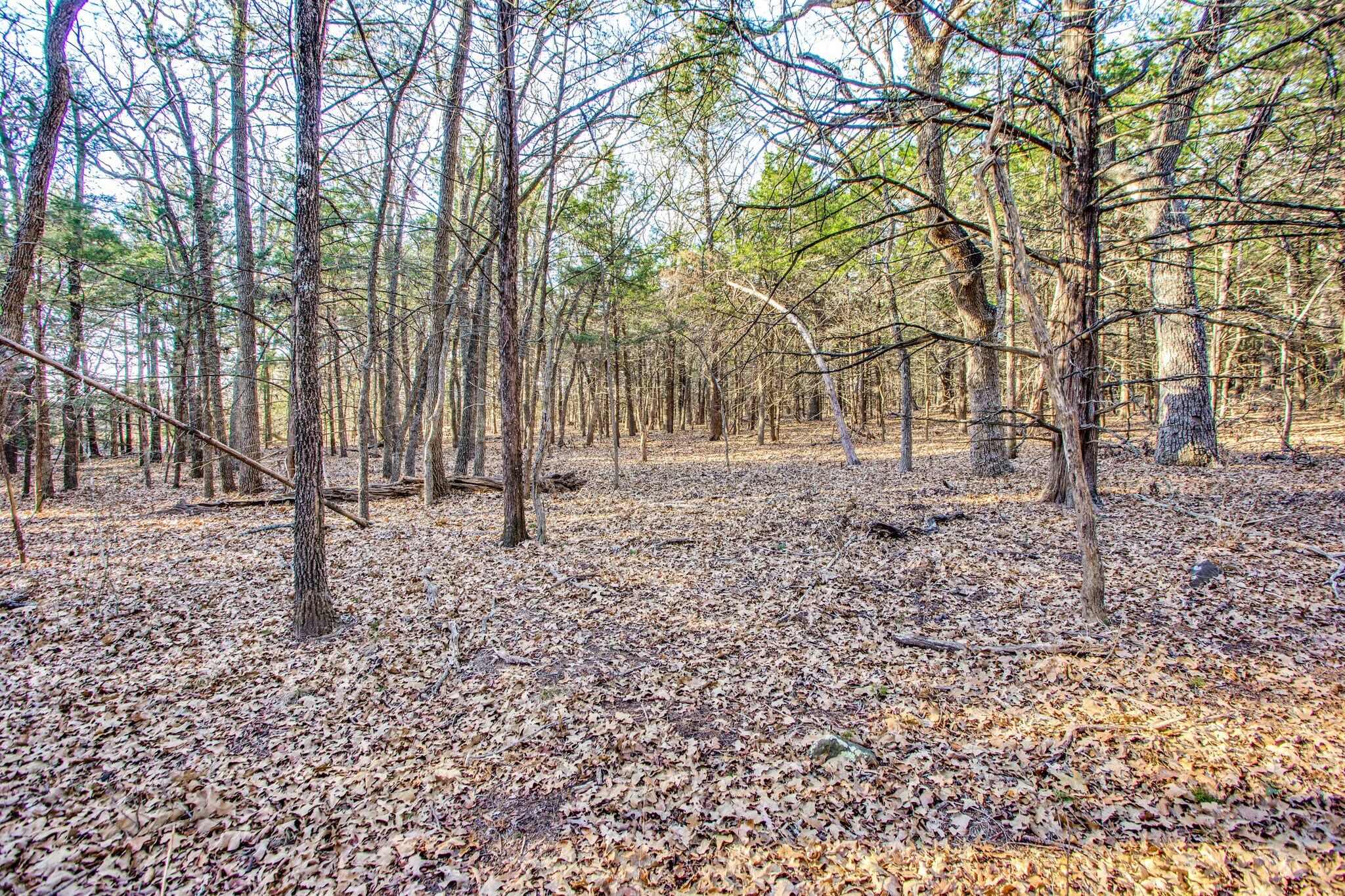 TBD9137 County Rd 113, Whitesboro, TX for sale Building Photo- Image 1 of 1