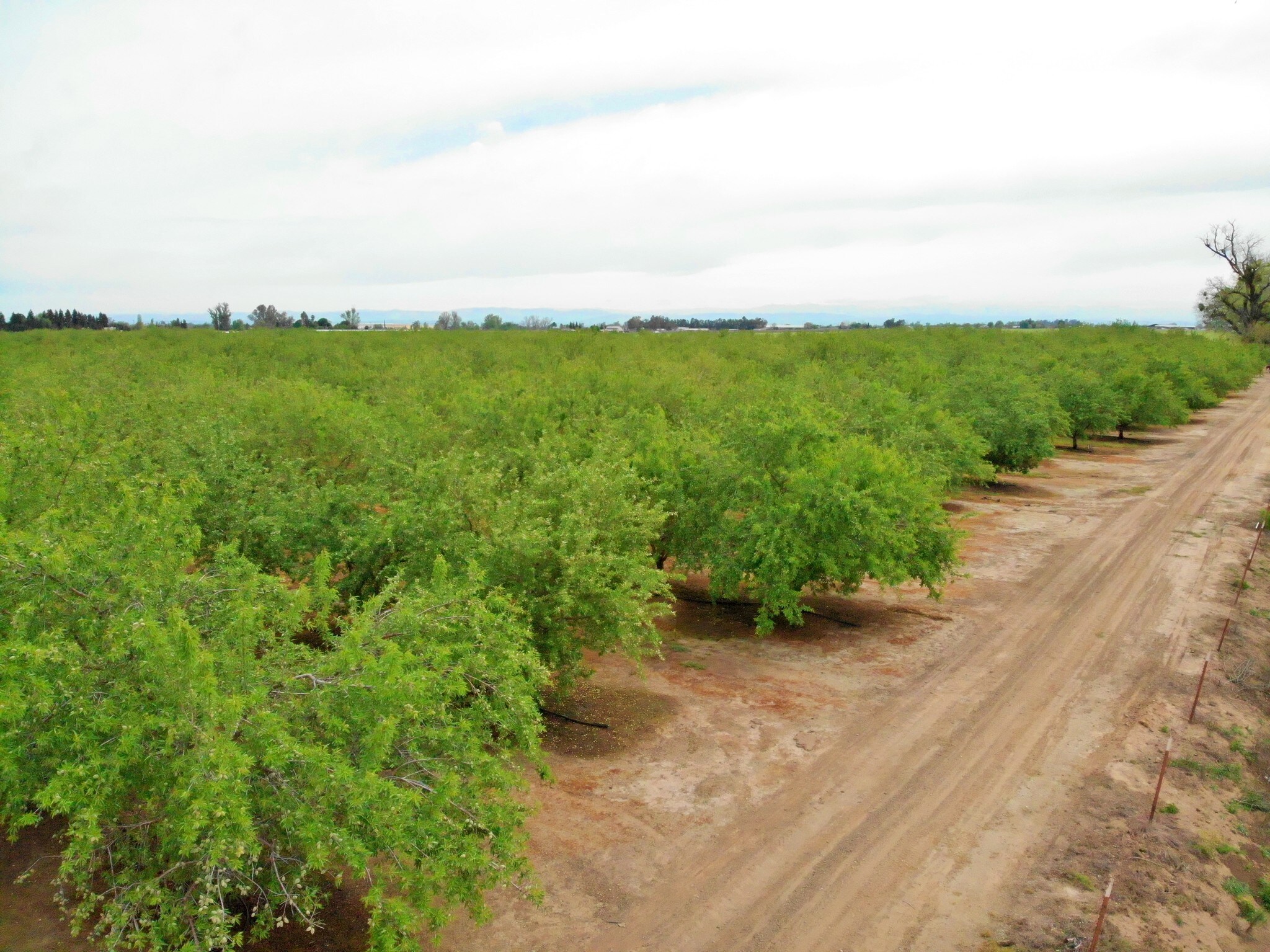160 Acres On Rielly Rd, Merced, CA for sale Building Photo- Image 1 of 1