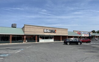 More details for 402-408 N Fruitland Blvd, Salisbury, MD - Retail for Lease