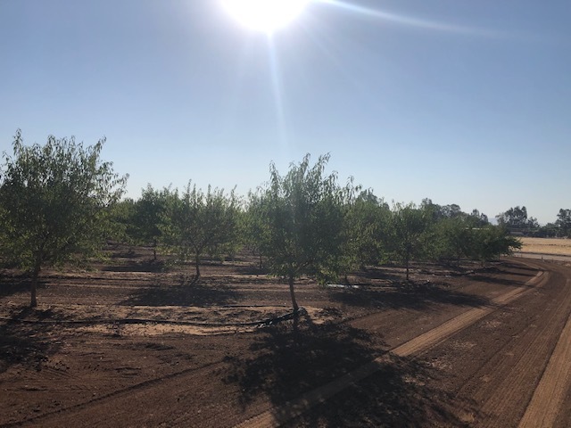 86.5 +- ac Organic Almonds Shaw Avenue Clovis Ca, Clovis, CA for sale - Building Photo - Image 3 of 7