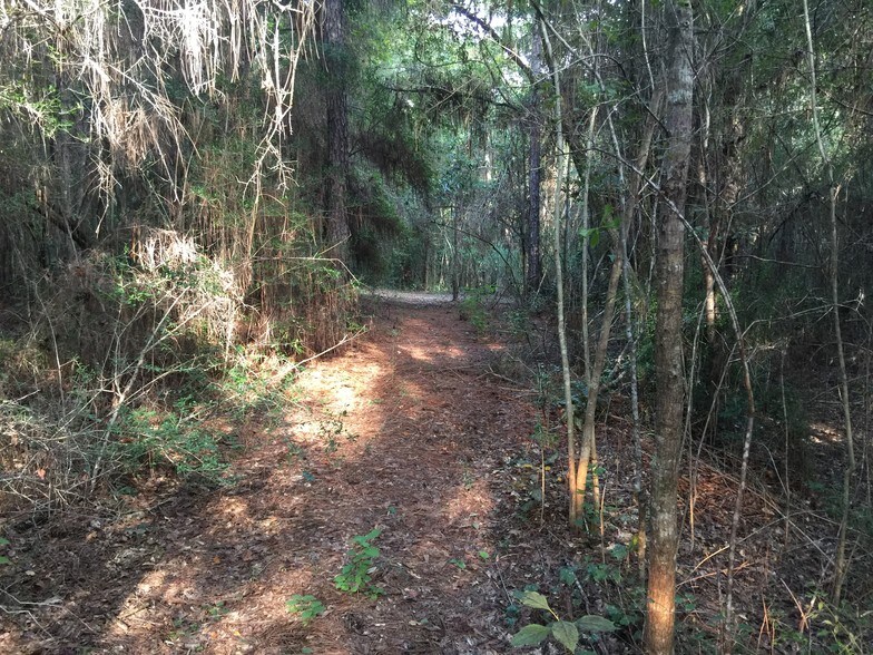 26600 Wolf Creek Rd, Kiln, MS 39556