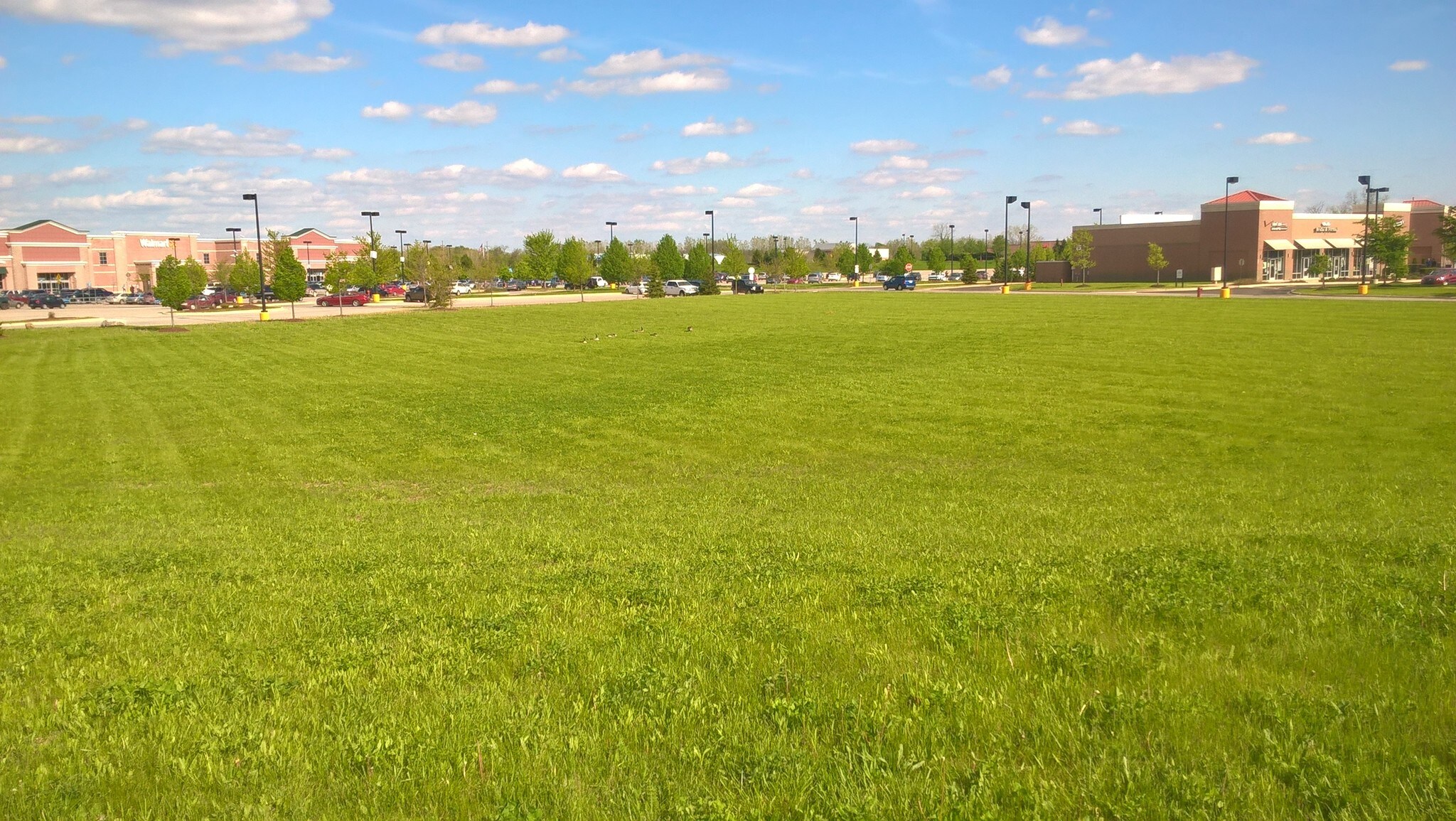 6869 S State Rd, Saline, MI for lease Building Photo- Image 1 of 4