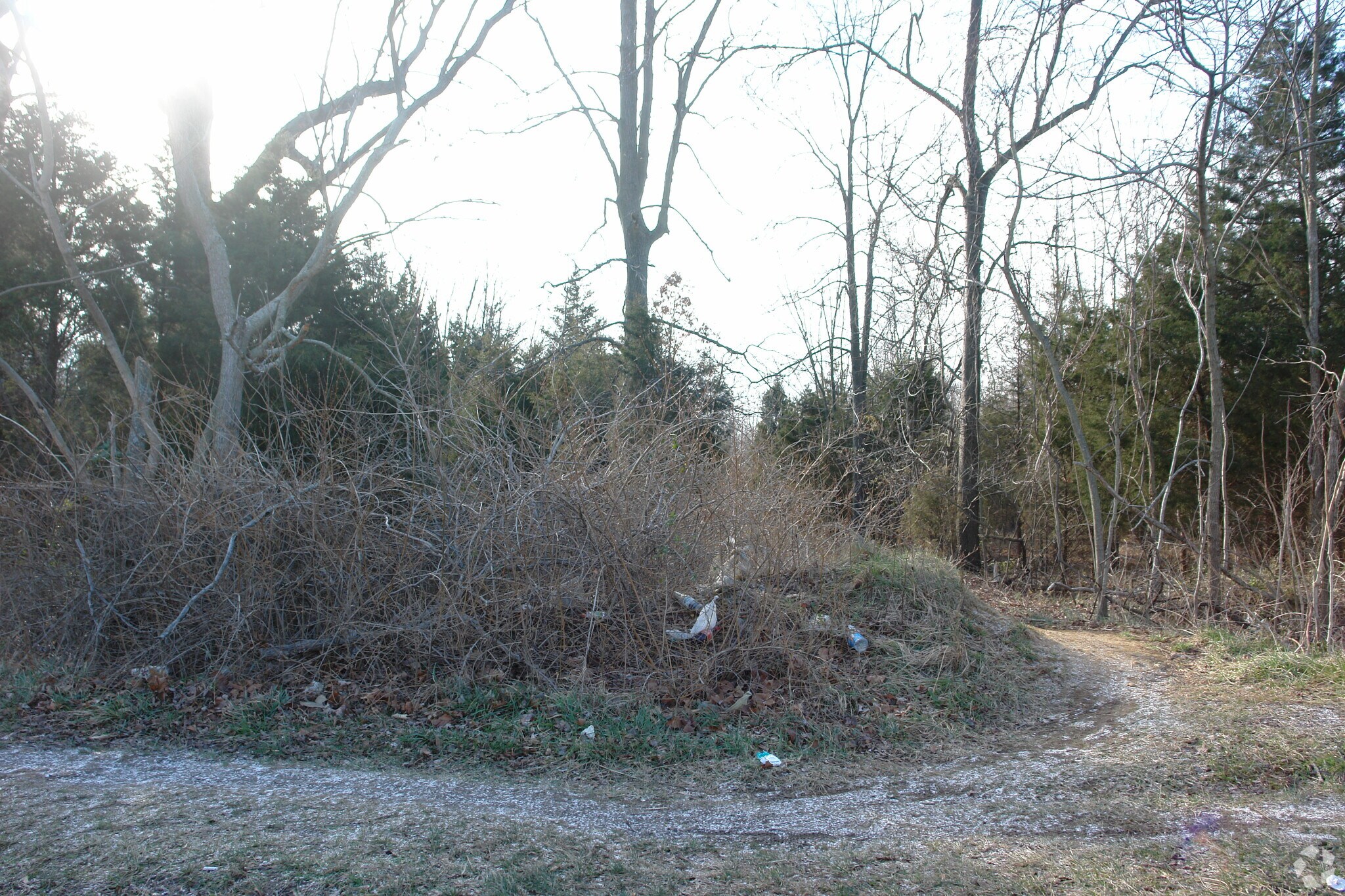 Route 56 & Delsea Dr, Vineland, NJ for sale Primary Photo- Image 1 of 1