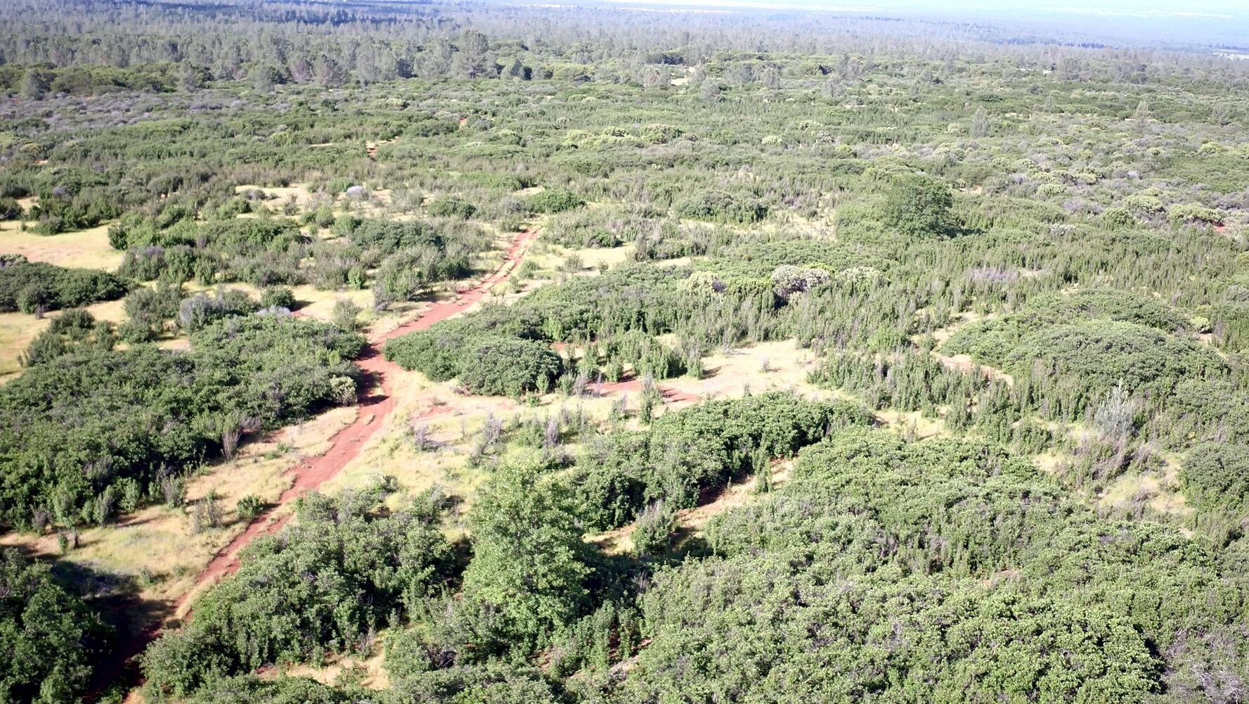 Highway 44, Shingletown, CA for sale Building Photo- Image 1 of 1