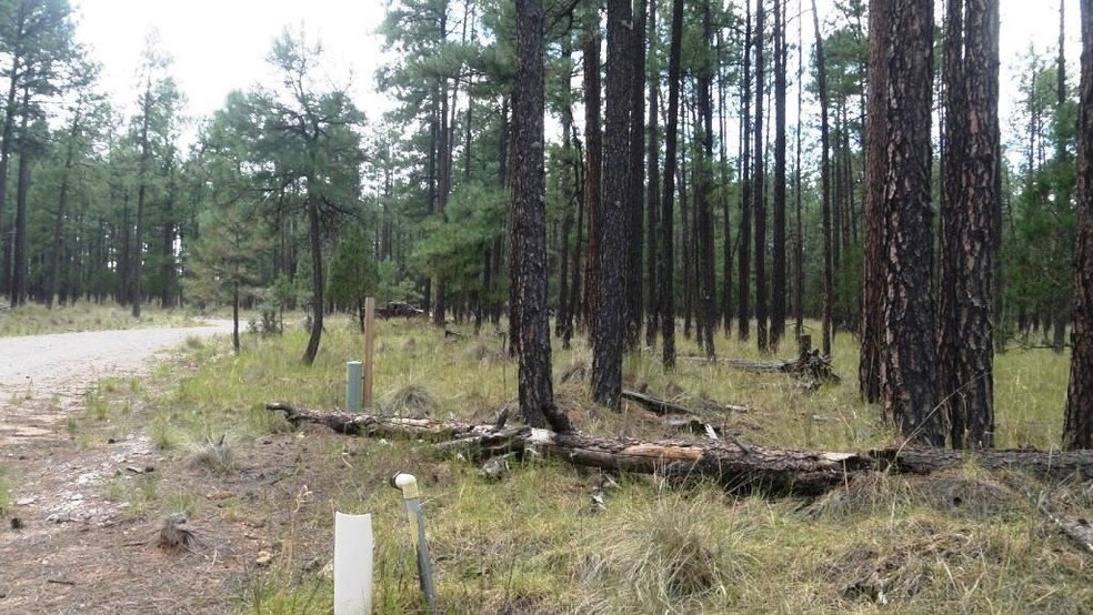 Caracas, Timberon, NM 88350