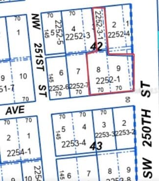 More details for 25017 SW 1st Ave, Newberry, FL - Land for Sale