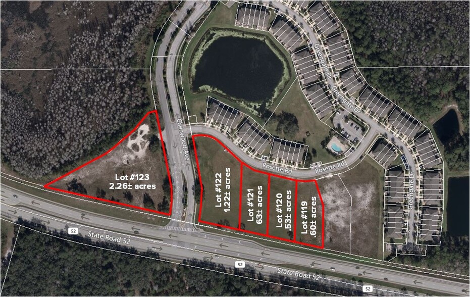 SR 52, Hudson, FL for sale - Building Photo - Image 1 of 1