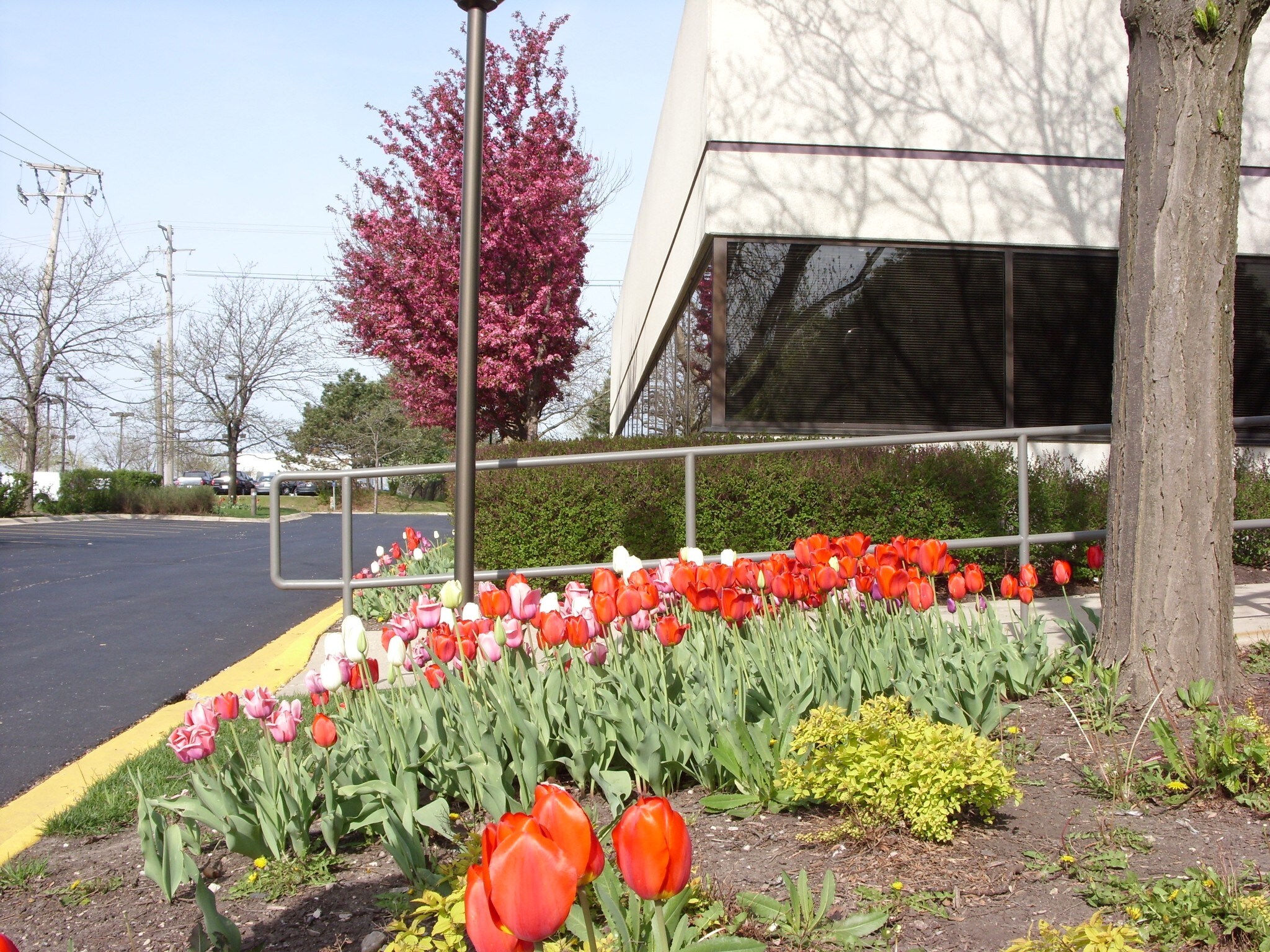 1251 N Plum Grove Rd, Schaumburg, IL 60173 Plum Grove Corporate Plaza