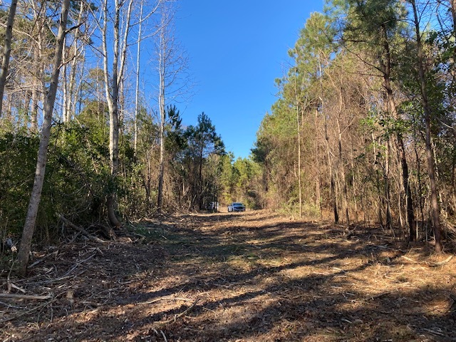 Fisher Landing Rd, Jarvisburg, NC for sale - Building Photo - Image 3 of 18