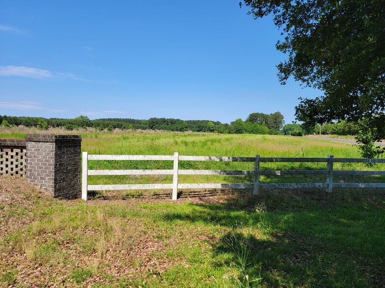 99 Ashley Ln, Ruffin, SC for sale - Other - Image 3 of 23