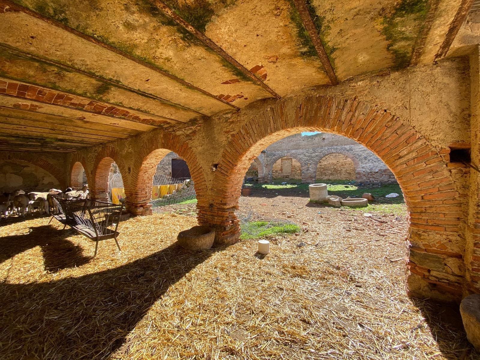 Land in Casar de Cáceres for sale Building Photo- Image 1 of 10