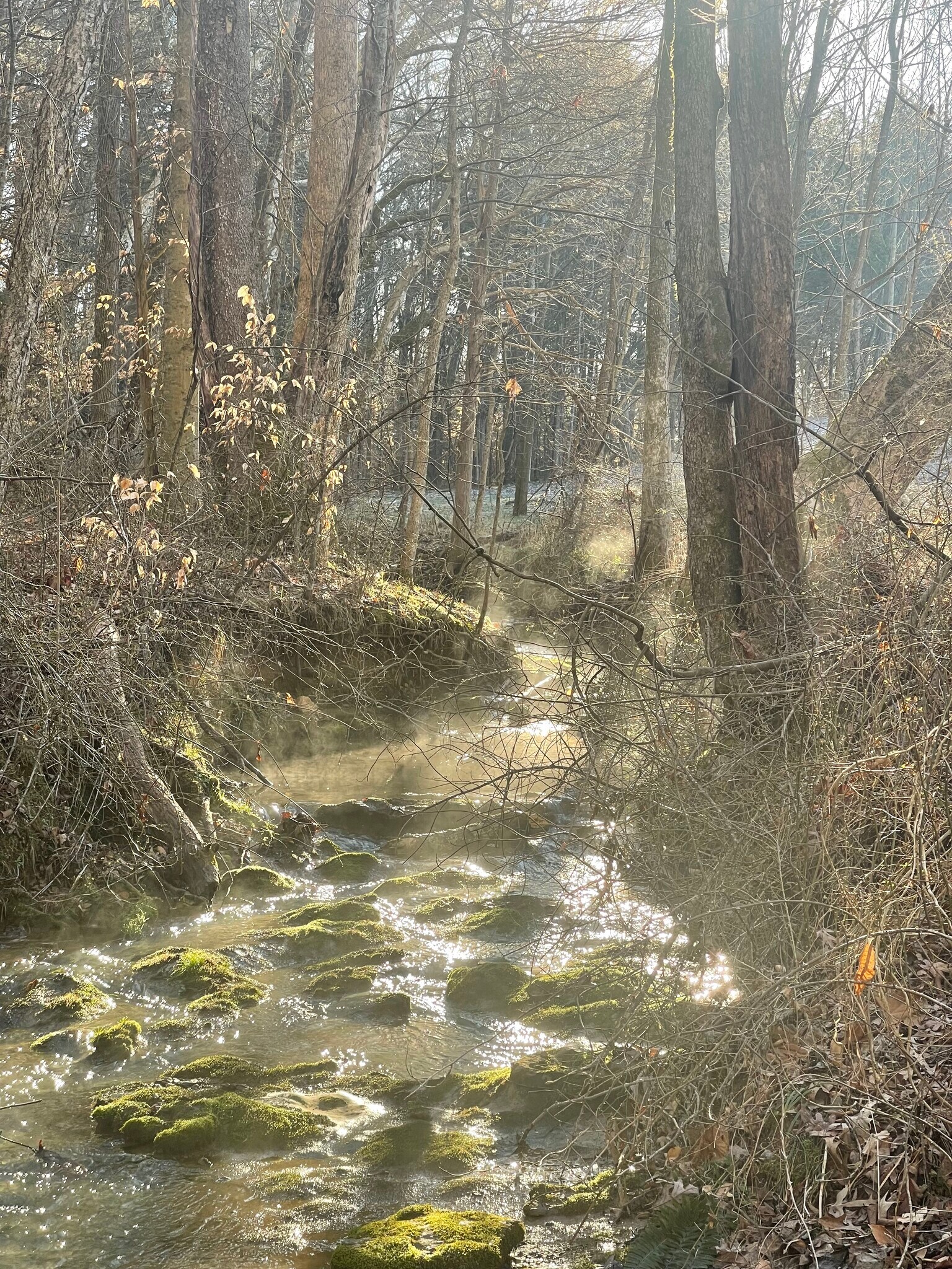 4451 Window Cliff Rd, Baxter, TN 38544 Cane Creek Farms at Window