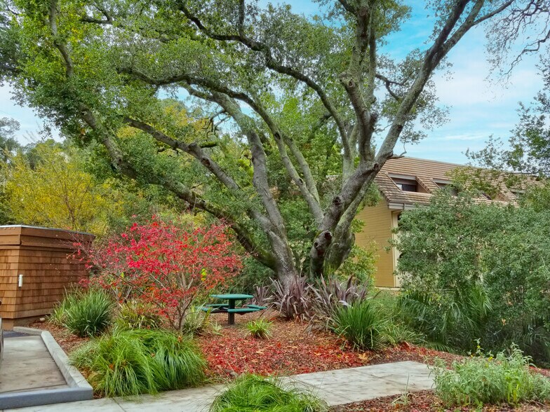 201 Alameda Del Prado, Novato, CA for lease - Building Photo - Image 2 of 5