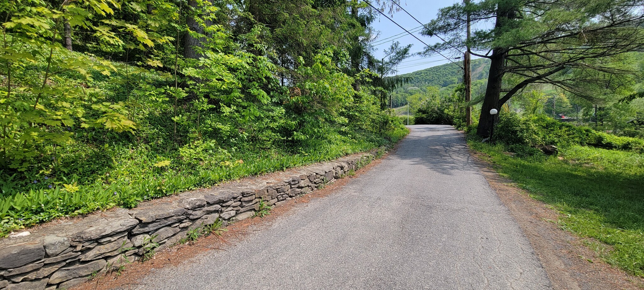 38 Catamount Rd, Hillsdale, NY 12529 38 Catamount