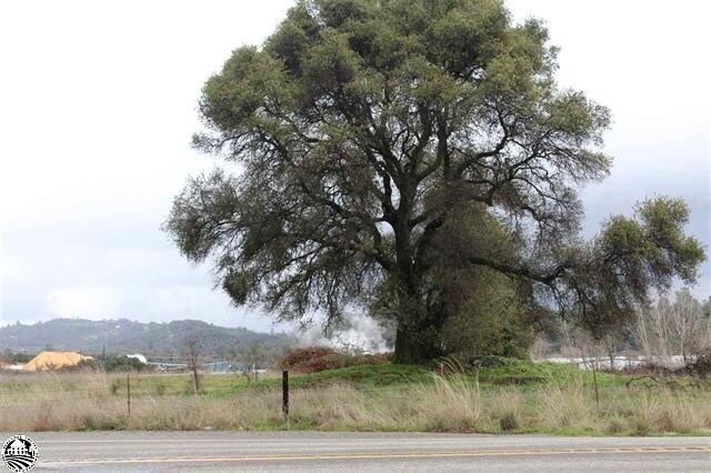 Camage Ave, Sonora, CA for sale Primary Photo- Image 1 of 1
