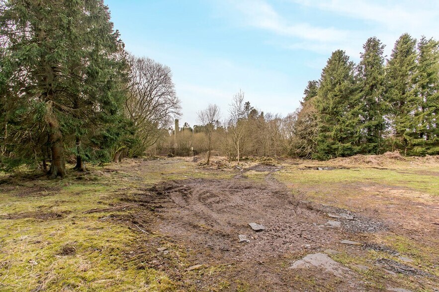 Slade Farm, Arbroath, ANS DD11 2RE Land for Sale