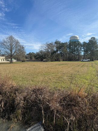 More details for Pumpkin Center Road, Hammond, LA - Land for Sale