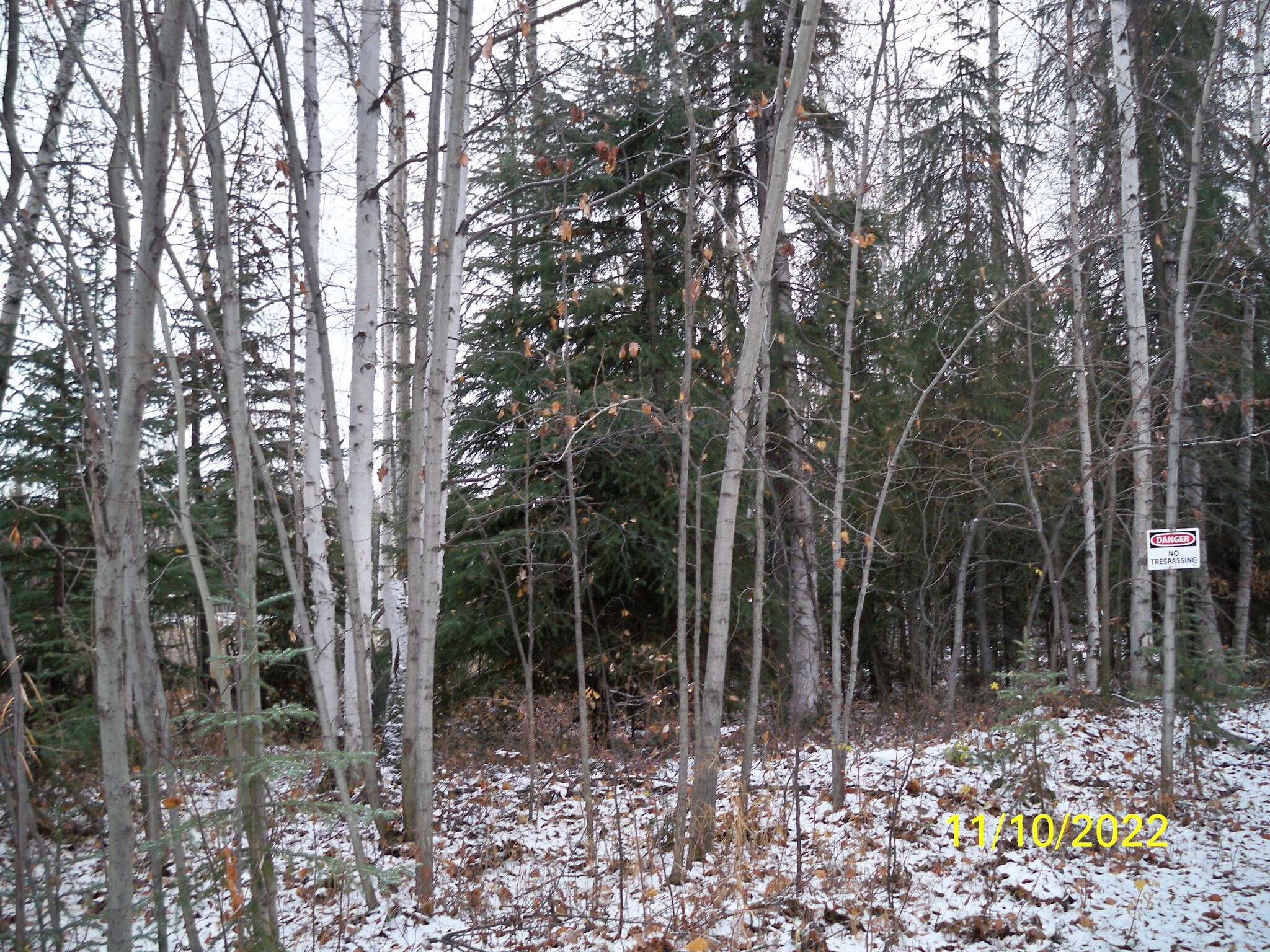 Chief William Drive, Fairbanks, AK for sale Primary Photo- Image 1 of 4