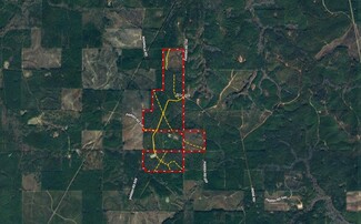 More details for Castor Land, Castor, LA - Land for Sale