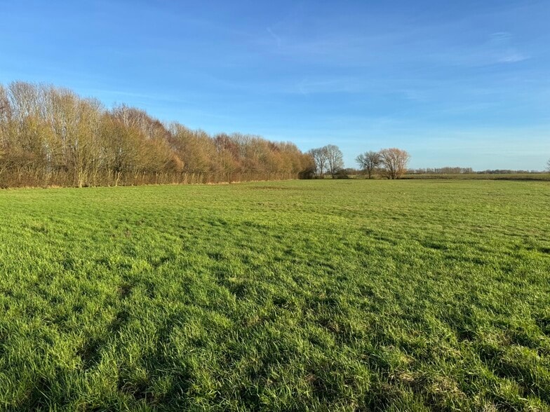 Amenity Pasture & Woodland, Somersham for sale - Other - Image 2 of 2