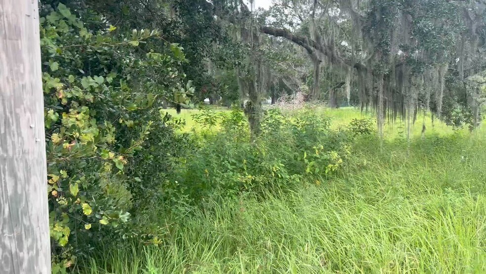 0 Bloomingdale Ave & Hurley Rd, Valrico, FL for sale - Commercial Listing Video - Image 2 of 4