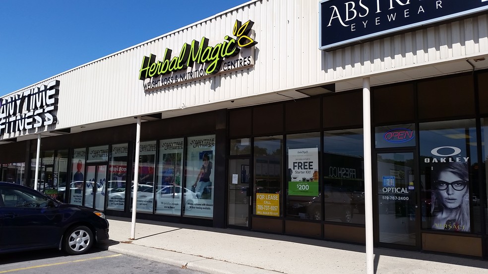 328-386 Speedvale Ave E, Guelph, ON for lease - Building Photo - Image 2 of 8