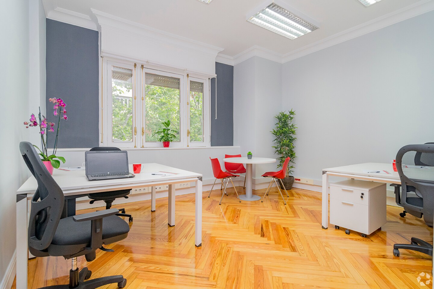 Calle José Abascal, 44, Madrid, Madrid for lease Interior Photo- Image 1 of 16