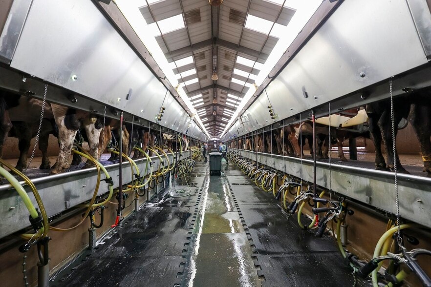 2157 State Rte 108, Texico, NM 88135 +/3,385.5 Ac. Cross Country