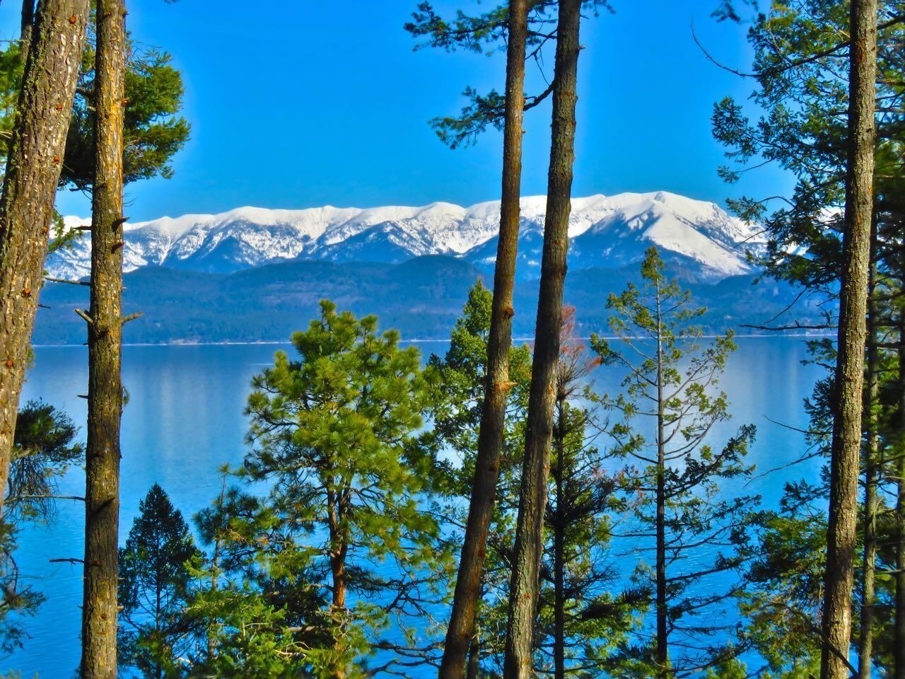 885 Angel Point Rd, Lakeside, MT for sale Primary Photo- Image 1 of 1