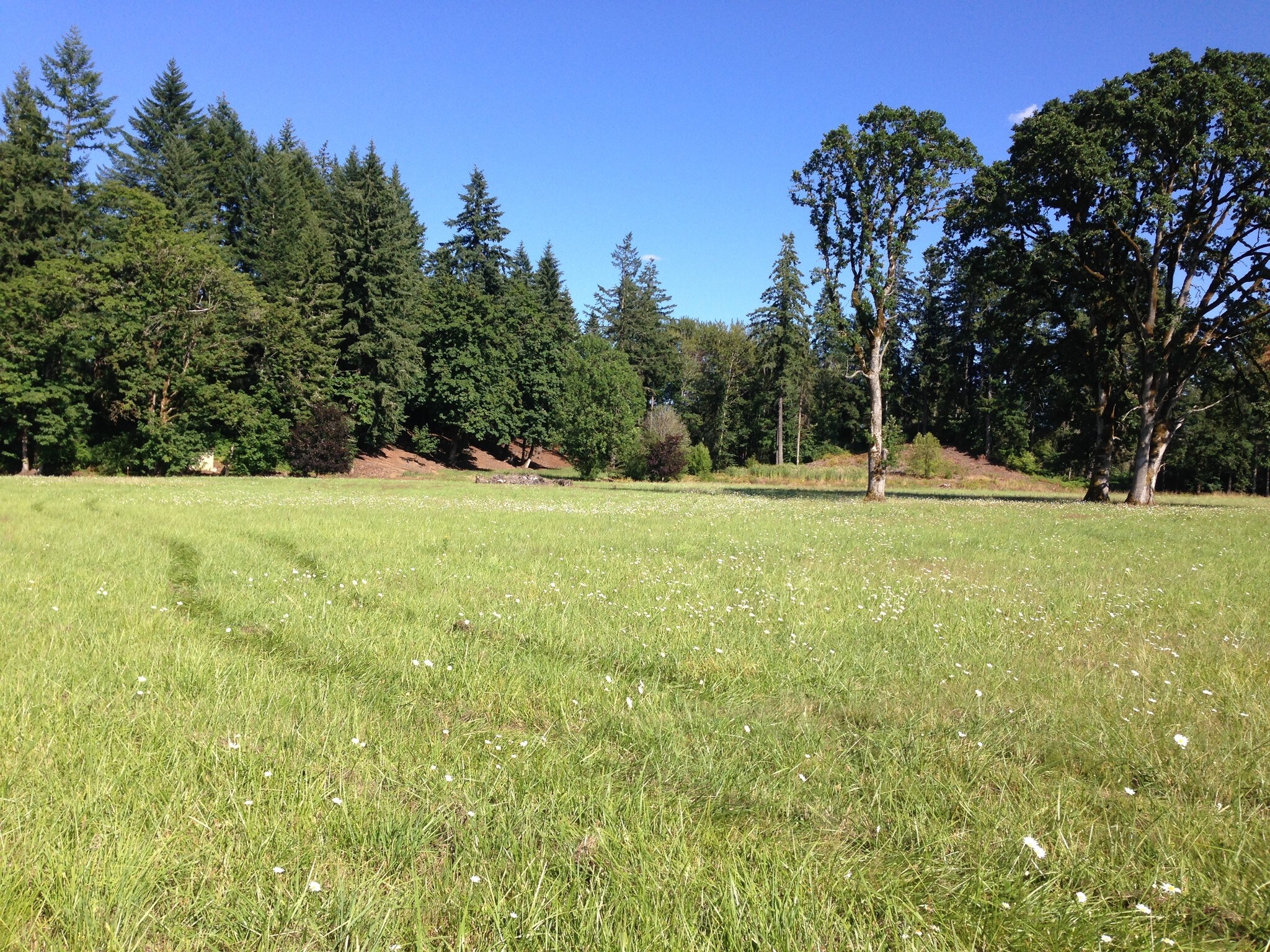 31332 SE Strubhar Ln, Estacada, OR for sale Primary Photo- Image 1 of 1