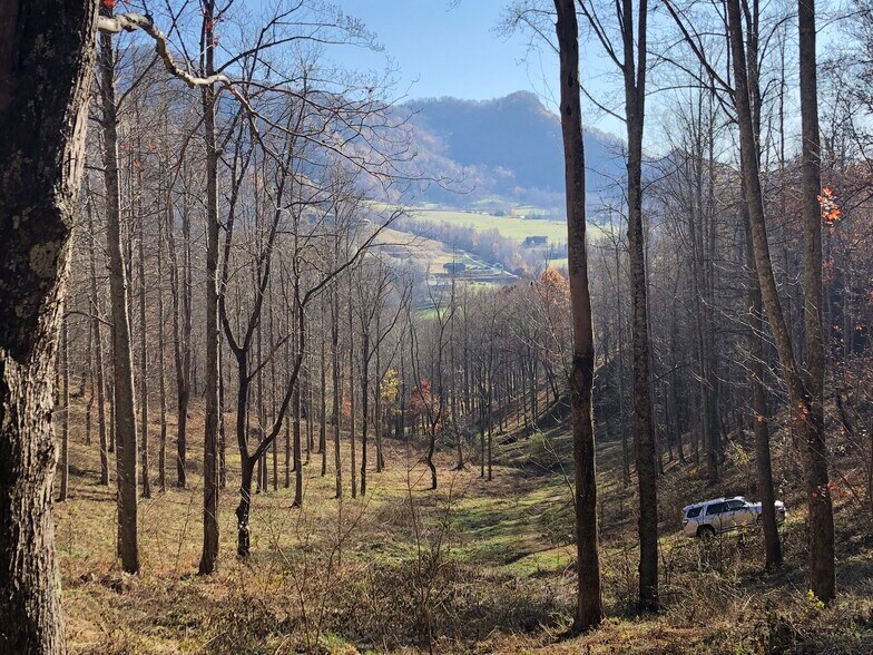 Tbd Betsys Gap Rd, Clyde, NC for sale - Building Photo - Image 1 of 1