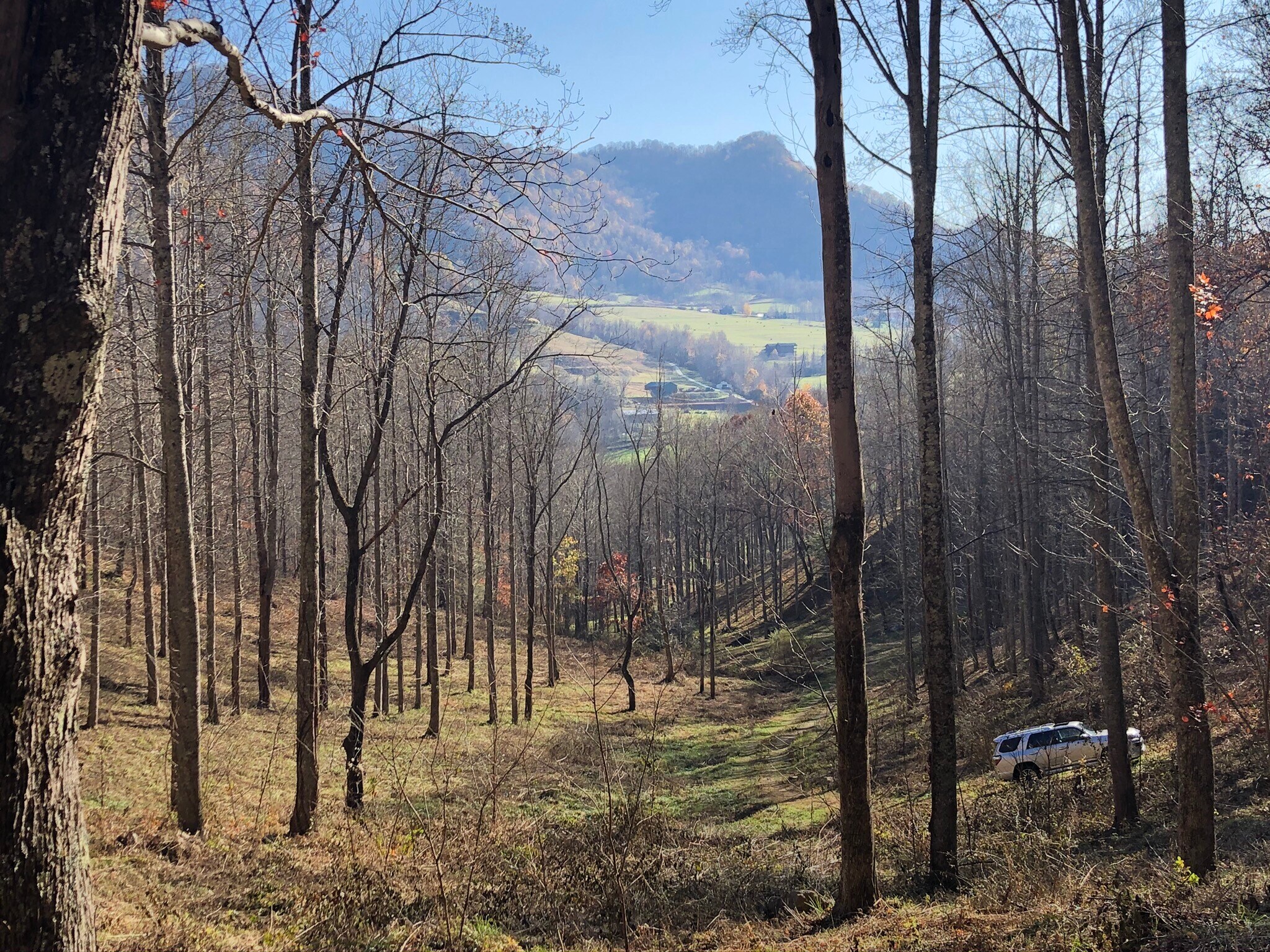 Tbd Betsys Gap Rd, Clyde, NC for sale Building Photo- Image 1 of 1