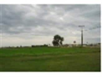 Expressway 83, La Feria, TX for sale - Building Photo - Image 2 of 2