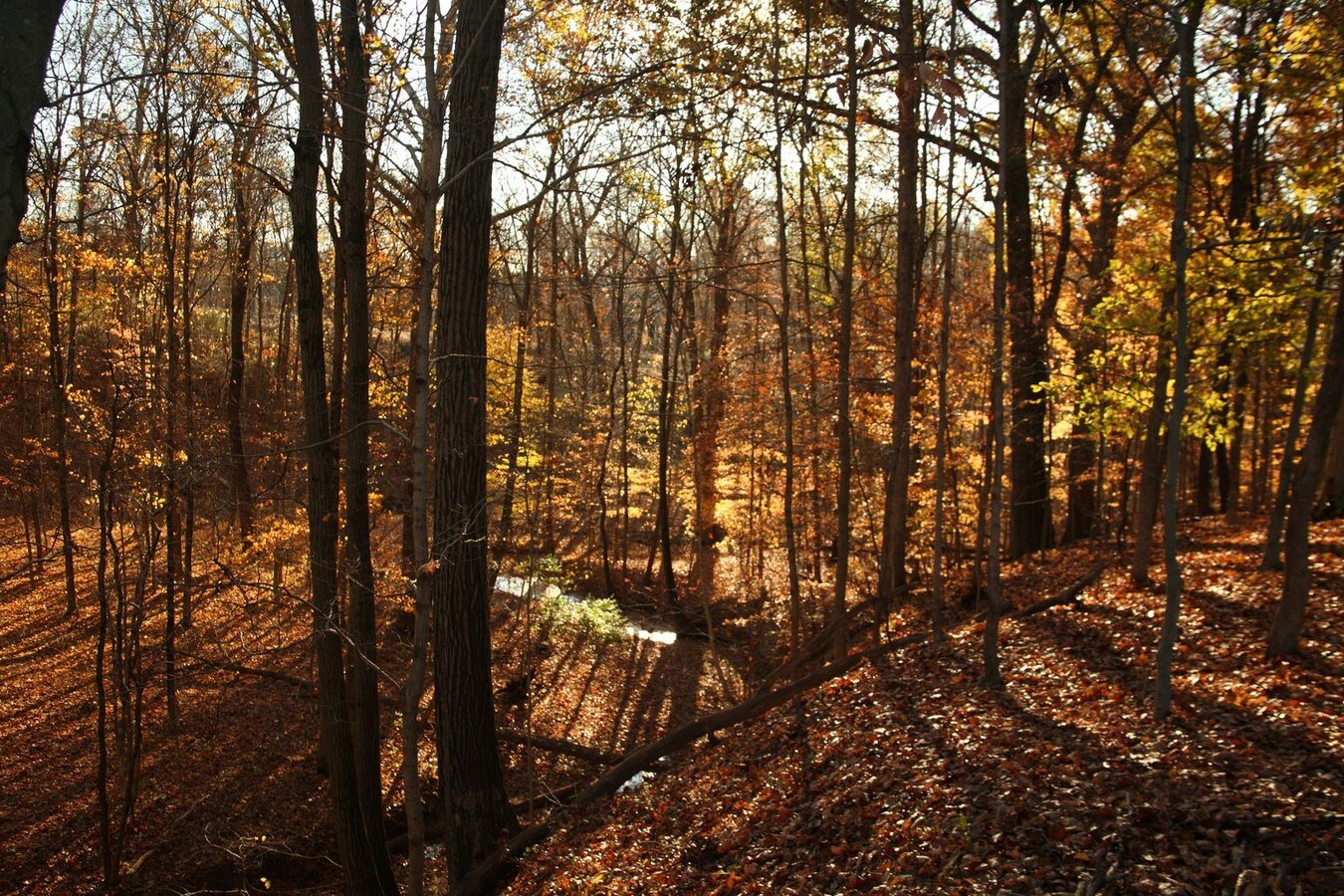 Home Road, Delaware, OH 43015