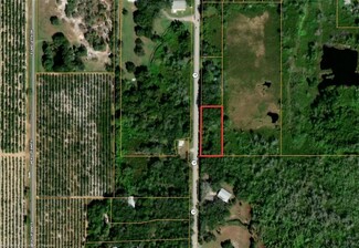 More details for 2685 FL-17, Avon Park, FL - Land for Sale