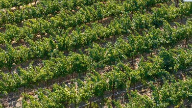 NKA Goose Ridge Estates, Richland, WA - AERIAL  map view - Image1