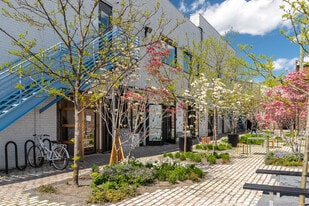 Sawtooth - Storefront Property