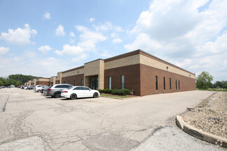 More details for 31200-31250 Solon Rd, Solon, OH - Flex for Lease