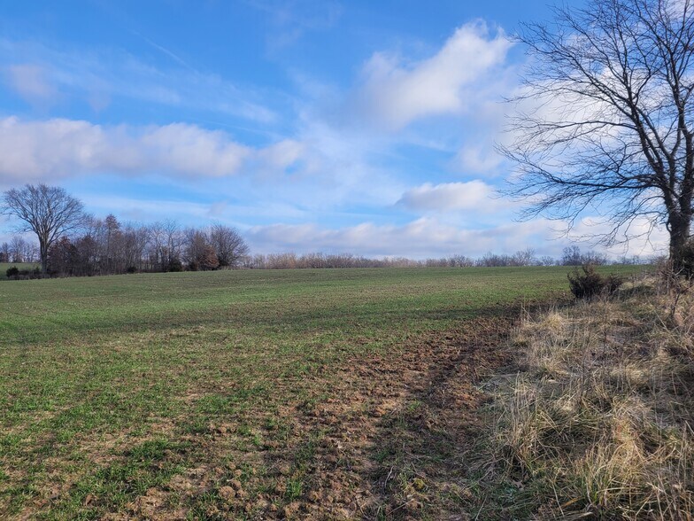 Bales Rd. (26.5+/- Acres), Middletown, MO for sale - Other - Image 1 of 20
