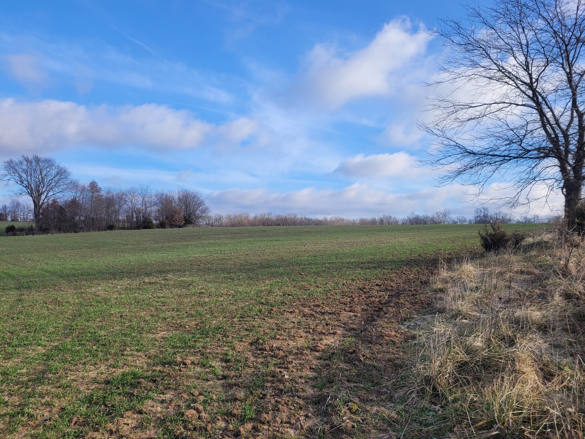 Bales Rd. (26.5+/- Acres), Middletown, MO for sale Other- Image 1 of 21