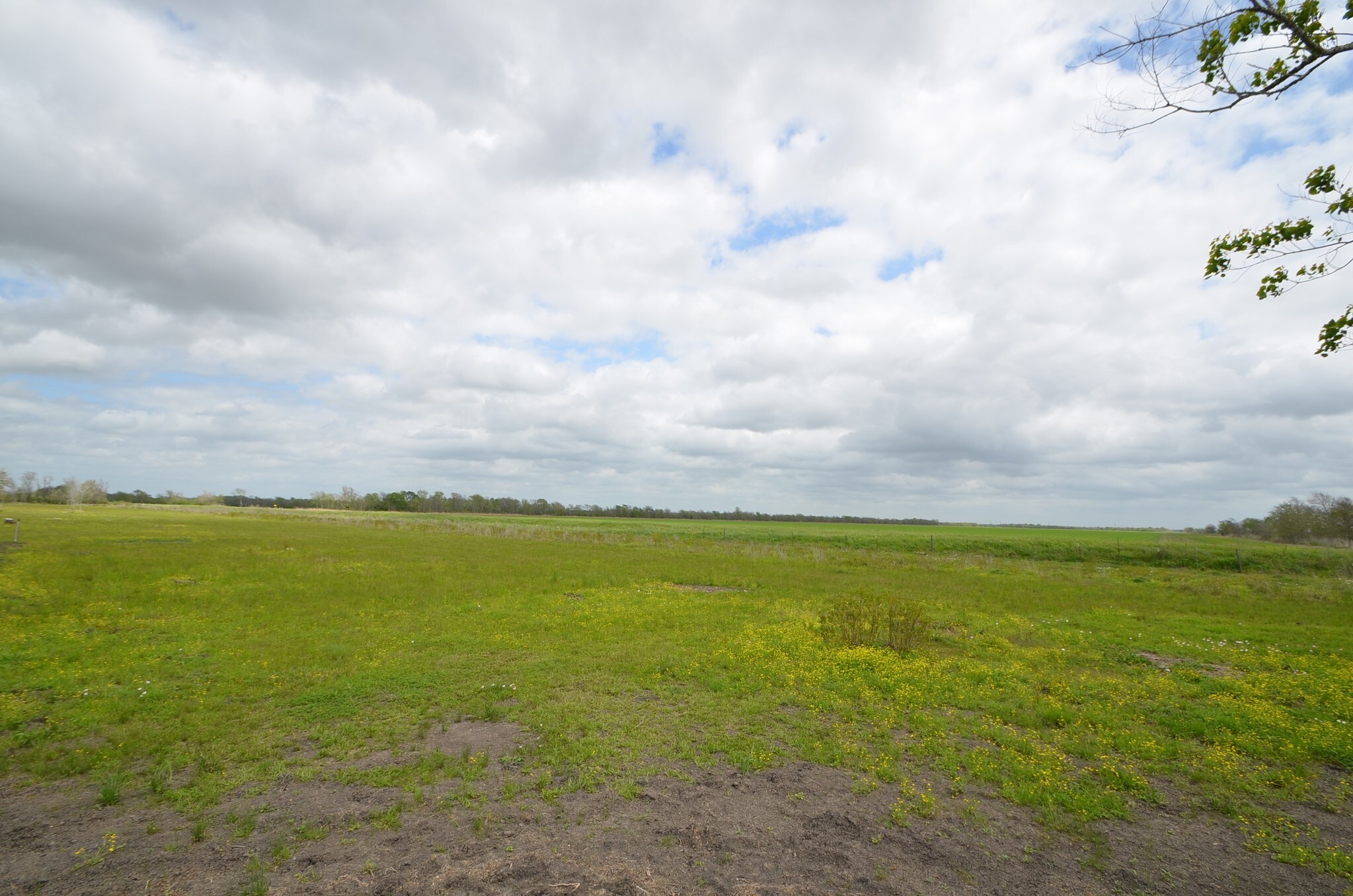 915 CR 53, Rosharon, TX for sale Building Photo- Image 1 of 1