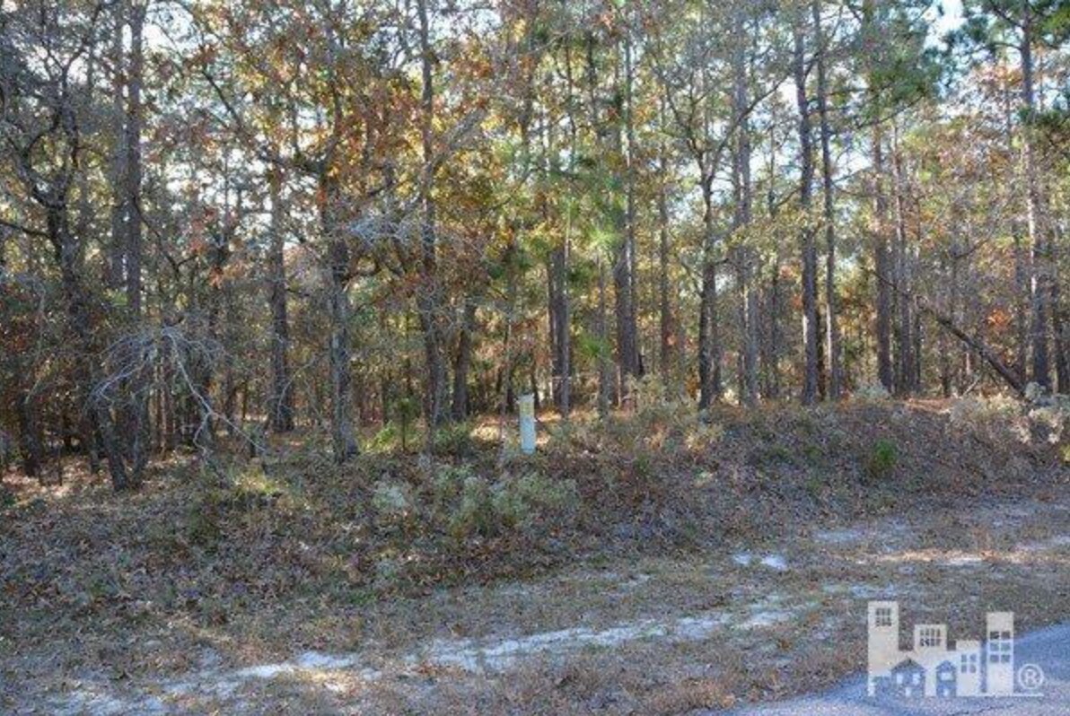 L61 S11 Mohawk Rd, Boiling Spring Lakes, NC for sale Primary Photo- Image 1 of 1