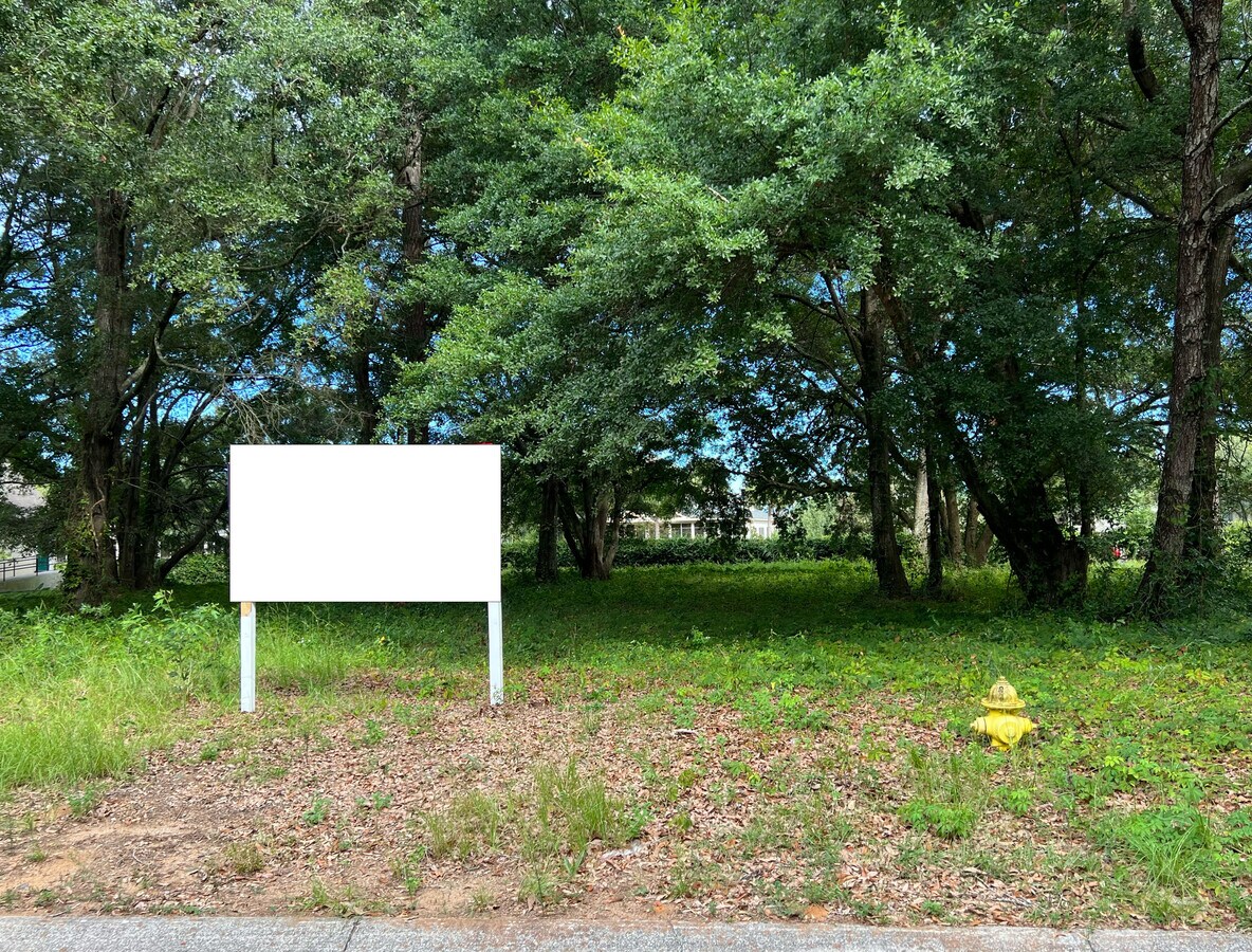 View Photo